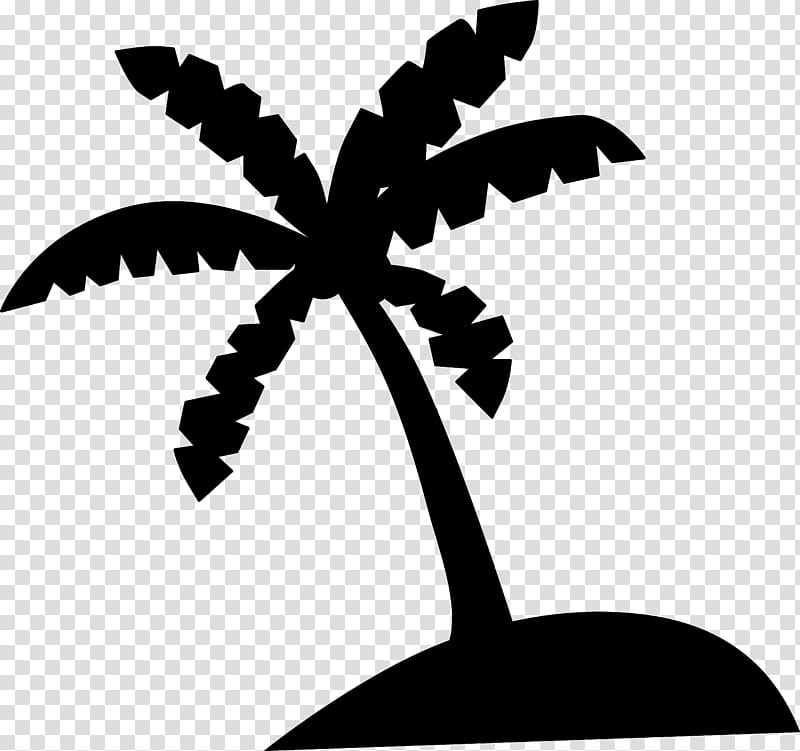Coconut Leaf Drawing, Palm Trees, Livistona Chinensis, Asian Palmyra Palm, Arecales, Plant, Blackandwhite, Silhouette transparent background PNG clipart