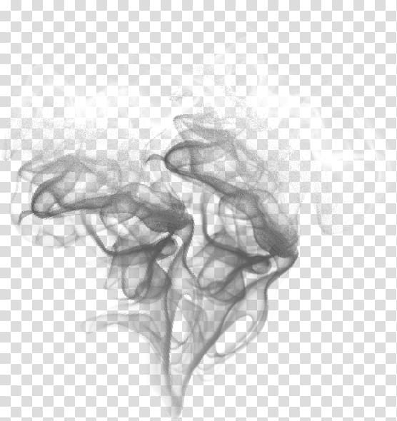 smoke asap transparent background PNG clipart