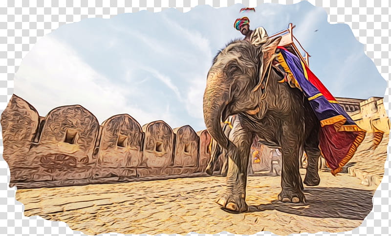 India Travel, Jodhpur, Rambagh Palace Jaipur, New Delhi, Rajasthan, Elephant, Indian Elephant, Working Animal transparent background PNG clipart