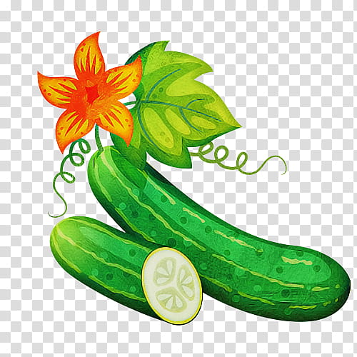 green cucumber cucumis plant cucumber, gourd, and melon family, Cucumber Gourd And Melon Family, Zucchini, Vegetable, Flower transparent background PNG clipart