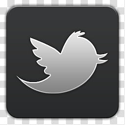 Quadrates Extended, Tweeter logo transparent background PNG clipart
