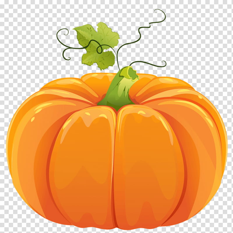 Halloween Jack O Lantern, Pumpkin Pie, Field Pumpkin, Jackolantern, Cucurbita Maxima, Halloween , Zucchini, Squash transparent background PNG clipart