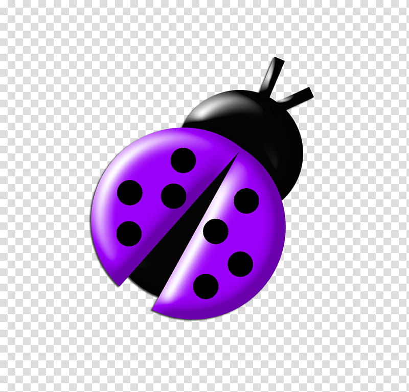 Ladybugs Colours, purple bug illustration transparent background PNG clipart