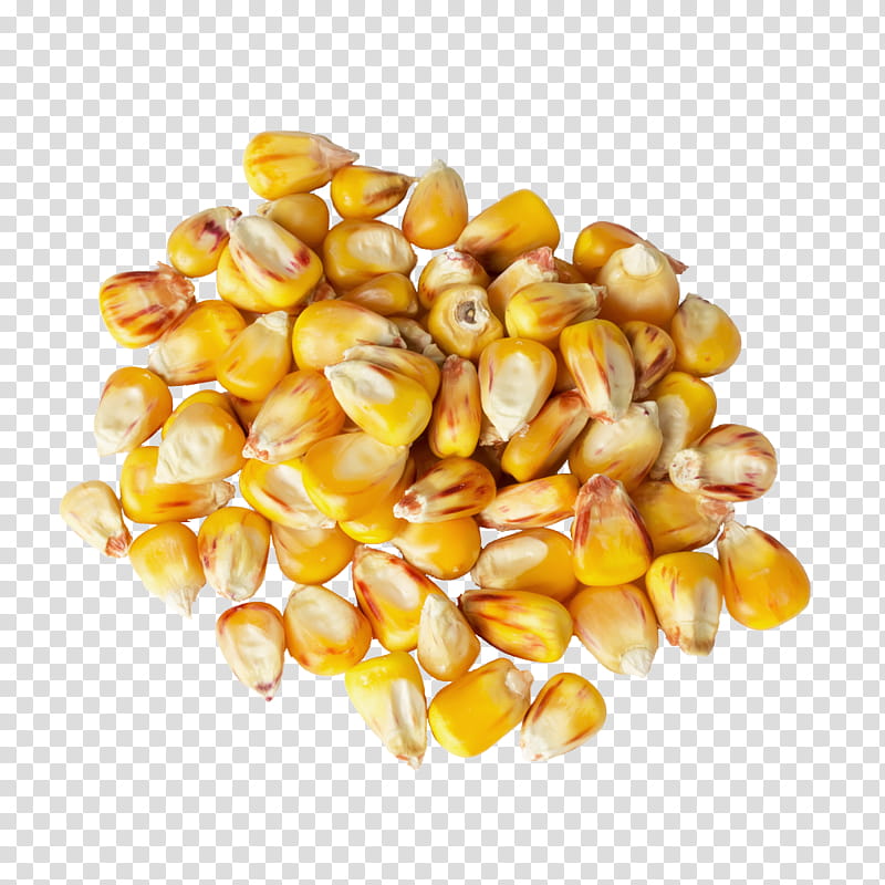 Popcorn, Vegetarian Cuisine, Wine, Corn Kernel, Corn Starch, Grain, Seed, Sweet Corn transparent background PNG clipart