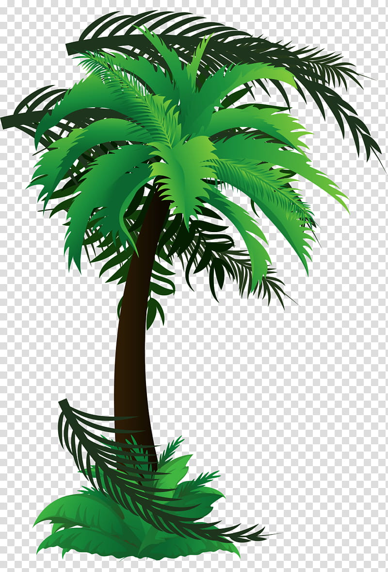 Date Tree Leaf, Asian Palmyra Palm, Choco Treasure, Chocolate, Coconut, Date Palm, Emoji, Plants transparent background PNG clipart