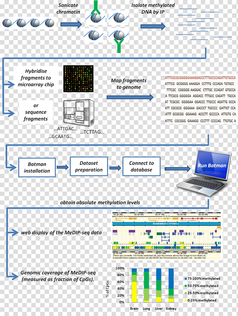 Paper, Bayesian Tool For Methylation Analysis, Dna Methylation, Methylated Dna Immunoprecipitation, Research, Bayesian Inference, Cpg Site, Epigenetics transparent background PNG clipart