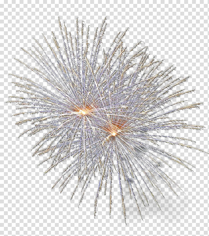 Fireworks Set , fireworks illustration transparent background PNG clipart