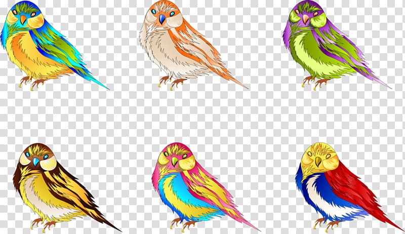 Bird Parrot, Budgerigar, Parakeet, Macaw, Artist, Feather, Pet, Sticker transparent background PNG clipart