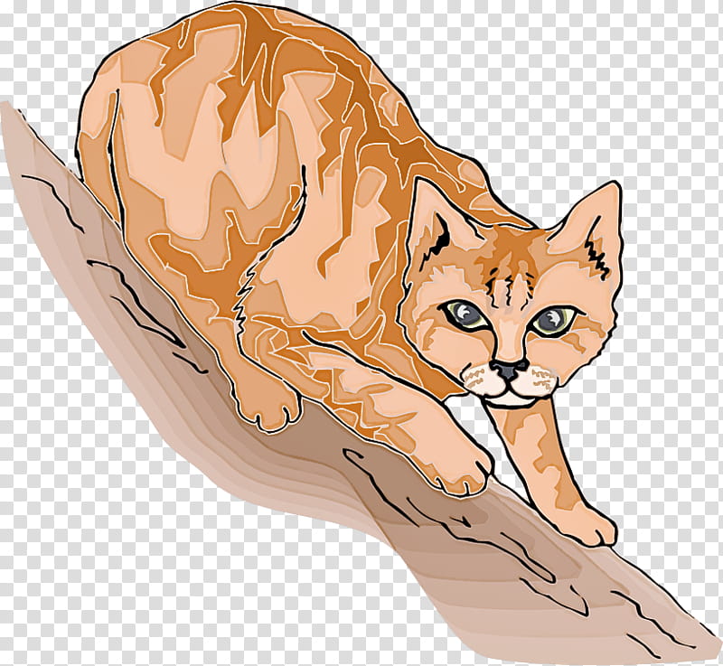fennec fox cat small to medium-sized cats wildlife red fox, Small To Mediumsized Cats, Swift Fox transparent background PNG clipart