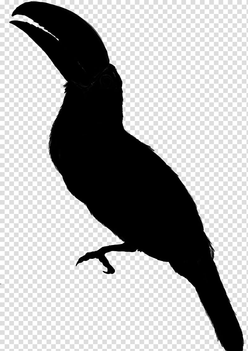 Hornbill Bird, Silhouette, Logo, Cartoon, Beak, Toucan, Piciformes, Coraciiformes transparent background PNG clipart