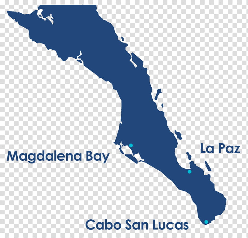Map, Baja California Sur, Baja California Peninsula, Text, Line, Area, Water, Diagram, Sky transparent background PNG clipart