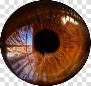 Featured image of post Anime Eye Texture Vroid Discover 491 free anime eye png images with transparent backgrounds