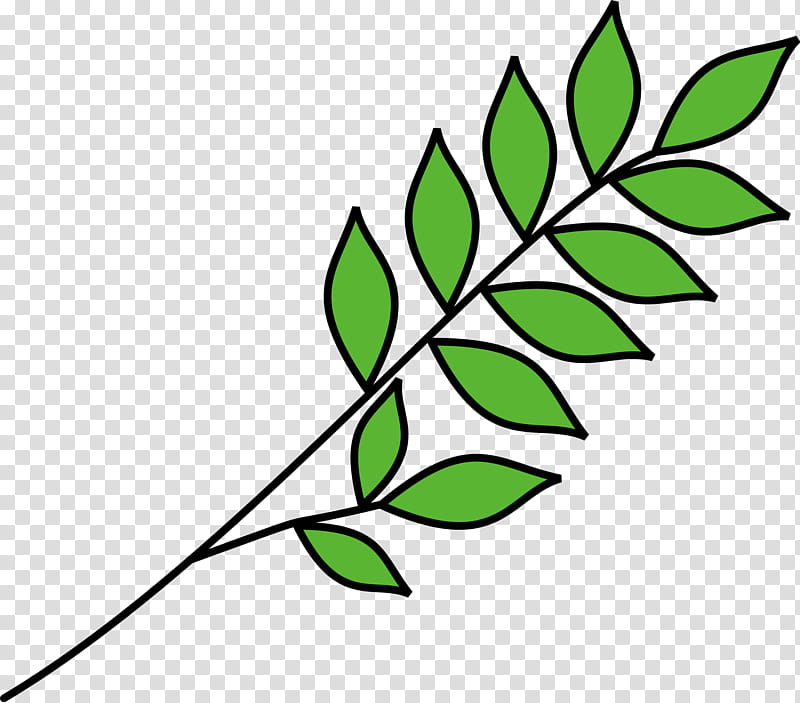 Olive Tree Drawing, Olive Branch, Blog, Leaf, Green, Plant, Flower, Plant Stem transparent background PNG clipart