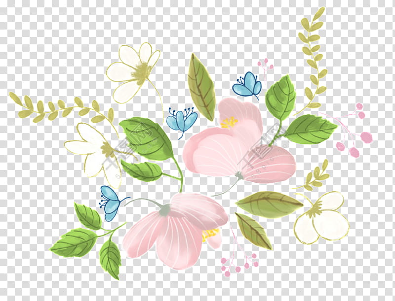Sweet Pea Flower, Drawing, Animation, Cartoon, Painting, Watercolor Painting, Pink, Plant transparent background PNG clipart