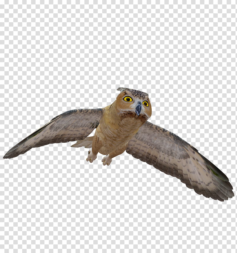 E S Owl, brown and black owl transparent background PNG clipart E S Owl, brown and black owl transparent background PNG clipart