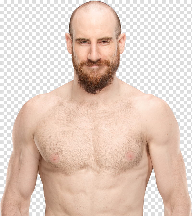 Aiden English  NEW transparent background PNG clipart