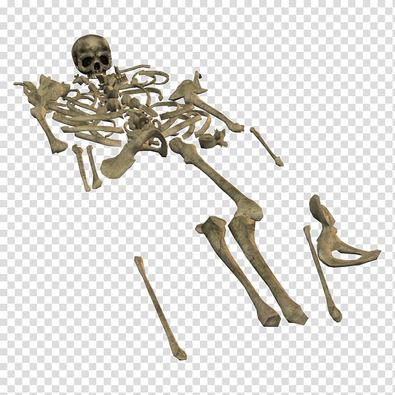 Bonez, scattered human skeleton transparent background PNG clipart