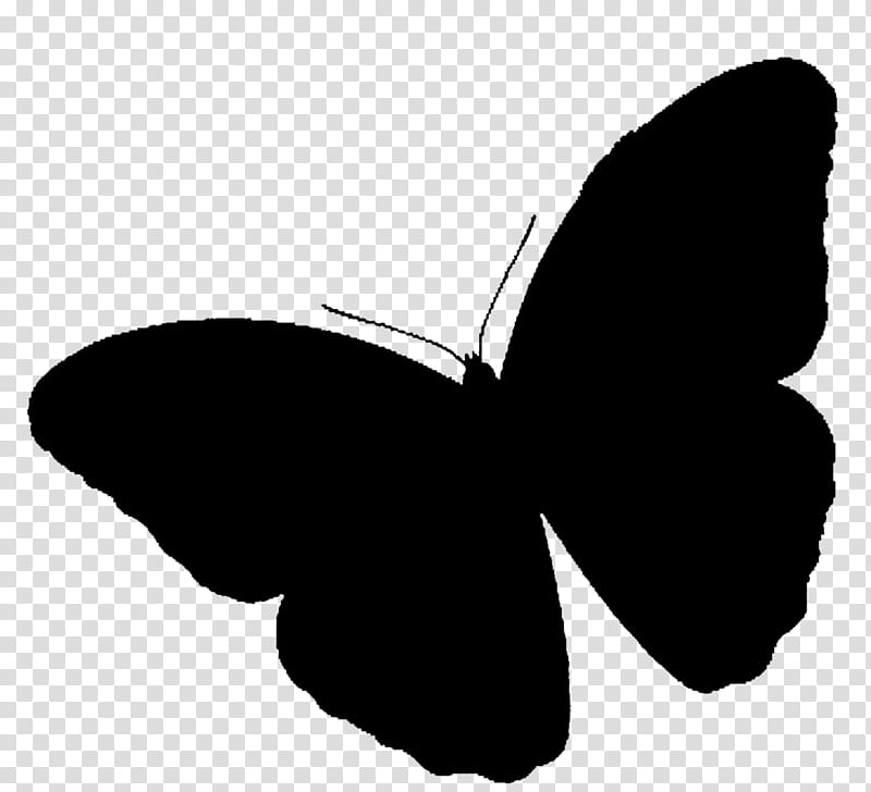 Butterfly Silhouette, Brushfooted Butterflies, Black M, Moths And Butterflies, Wing, Insect, Blackandwhite, Pollinator transparent background PNG clipart