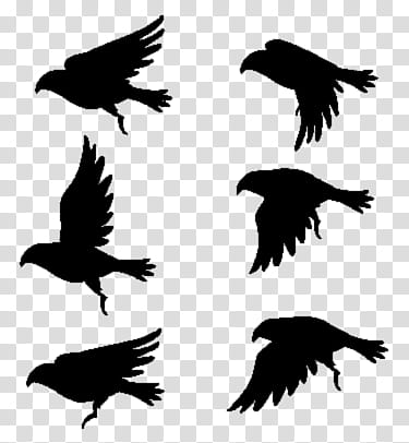 Gimp Flying Birds, silhouette of six birds transparent background PNG clipart