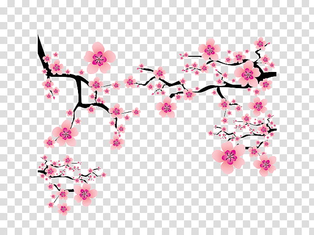 Cherry Blossom Tree, Cherries, Flower, Pink, Branch, Plant, Spring
, Petal transparent background PNG clipart