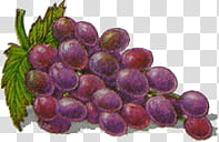 fruits , purple grapes fruits transparent background PNG clipart