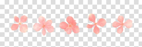 T u m b l r , () icon transparent background PNG clipart