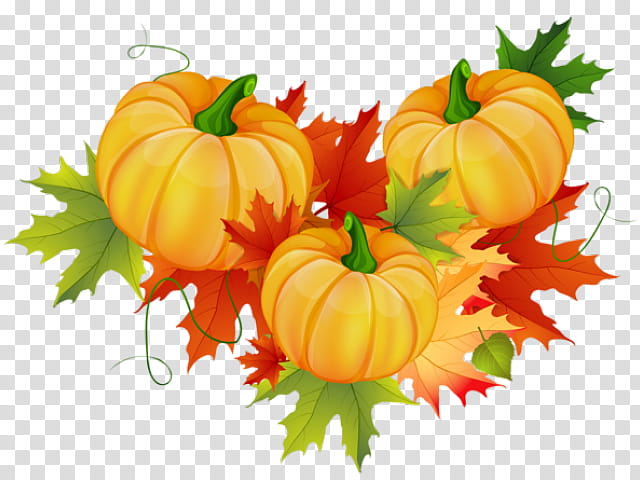 Thanksgiving Cornucopia, Pumpkin, Turkey Meat, Natural Foods, Vegetable, Fruit, Calabaza, Orange transparent background PNG clipart