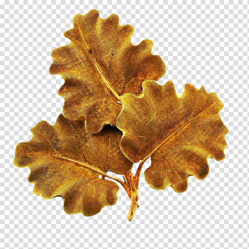 , three brown leaves transparent background PNG clipart