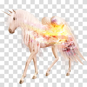 Unicorn, Robot Unicorn Attack, Image Editing, Animal Figure, Horse, Mane transparent background PNG clipart thumbnail