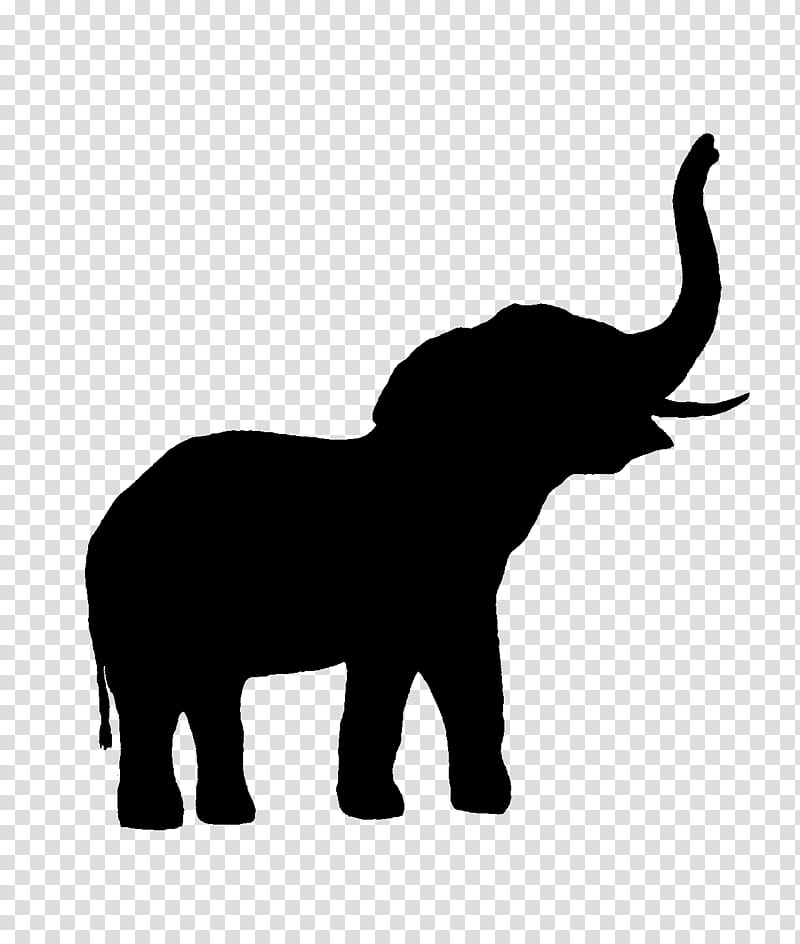 Elephant, Indian Elephant, African Elephant, Cattle, Silhouette, Animal, Animal Figure, Wildlife transparent background PNG clipart