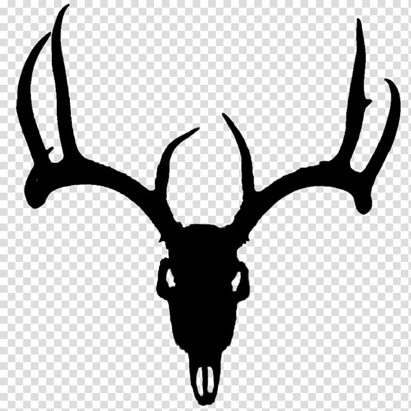 Deer Horn, Red Deer, Whitetailed Deer, Antler, Mule Deer, Decal, Moose, Deer Hunting transparent background PNG clipart