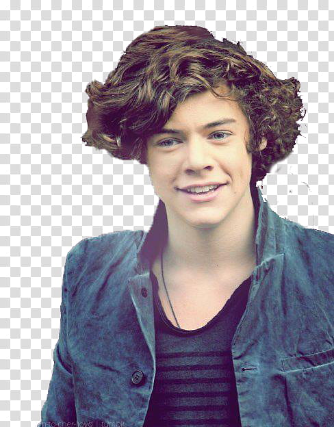 Harry Styles Transparent Background Png Clipart Hiclipart