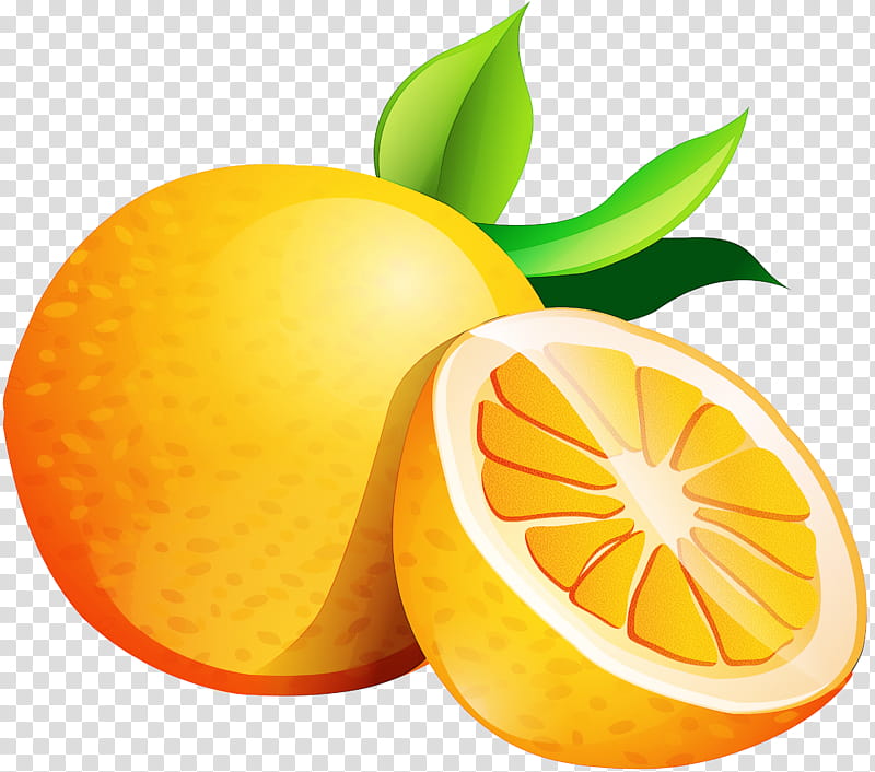 Orange, Citrus, Fruit, Lemonlime, Grapefruit, Valencia Orange, Citric Acid, Bitter Orange transparent background PNG clipart