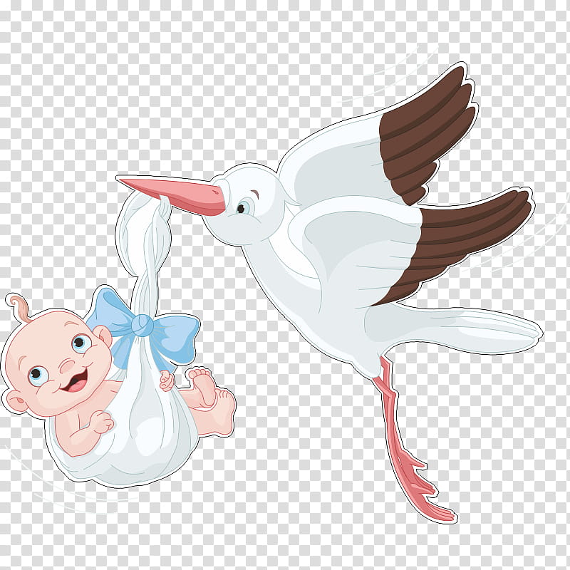 Bird, Stork, Infant, Cartoon, Ciconiiformes transparent background PNG clipart