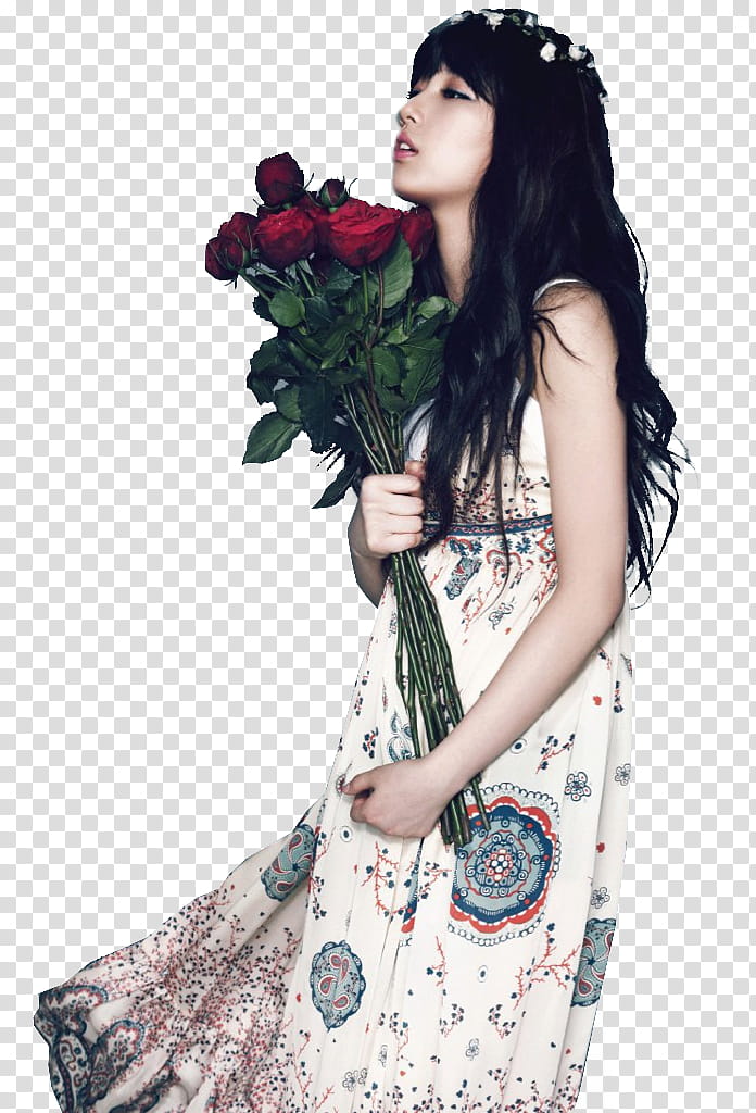 Render Bae Suzy transparent background PNG clipart