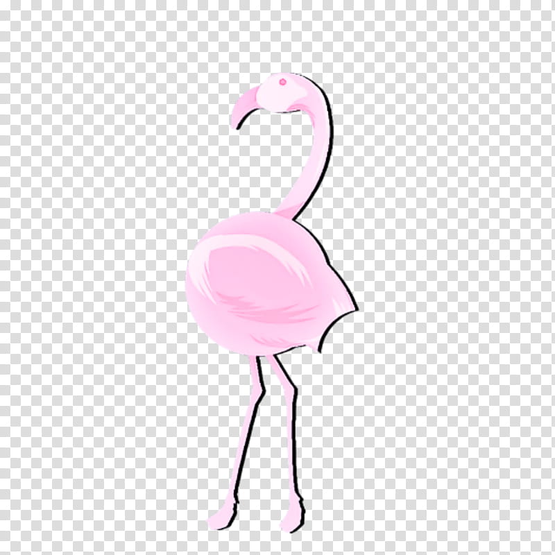 Flamingo, Bird, Greater Flamingo, Pink, Water Bird, Beak, Feather, Neck transparent background PNG clipart