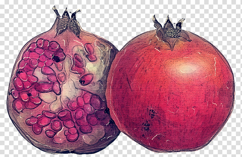 Onion, Pomegranate, Superfood, Red Onion, Local Food, Fruit, Plant, Vegetable transparent background PNG clipart
