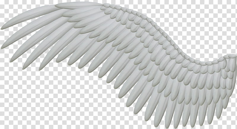 Spread White Wings, white angel wing illustration transparent background PNG clipart