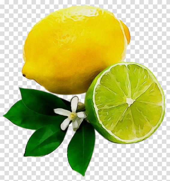 Lemon, Watercolor, Paint, Wet Ink, Lemonlime Drink, Key Lime, Sweet Lemon, Citron transparent background PNG clipart