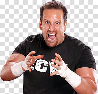 Tommy Dreamer ECW transparent background PNG clipart