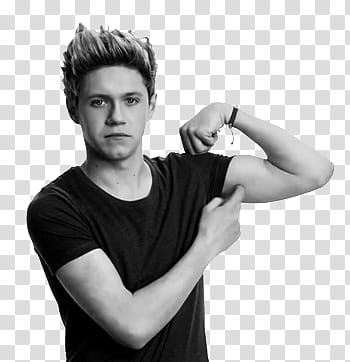 AESTHETIC GRUNGE,  Direction Niall Horan in grayscale graphy transparent background PNG clipart