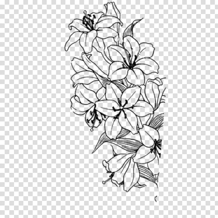 black and white flower sketch transparent background PNG clipart