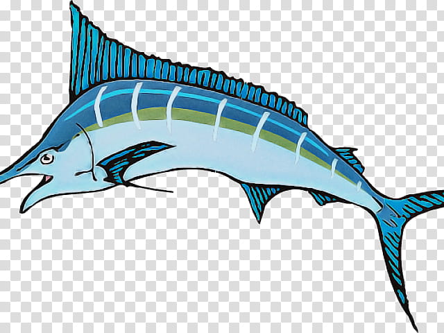 sailfish fish marlin swordfish atlantic blue marlin, Fin, Animal Figure, Bonyfish transparent background PNG clipart