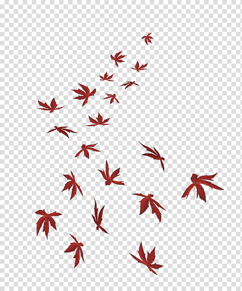 Falling Leaves s, falling red leaves illustration transparent background PNG clipart