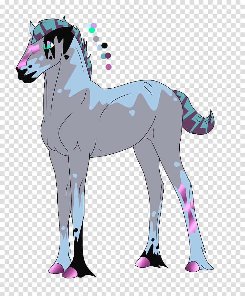 Bloodline Foal, Belle x Frozen transparent background PNG clipart