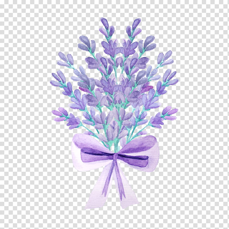 Purple Watercolor Flower, Lavender, Watercolor Painting, Drawing, Violet, Lilac, Plant, English Lavender transparent background PNG clipart