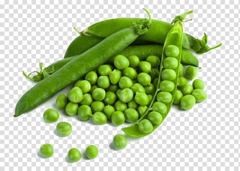 Snow, Pea, Vegetable, Green Pea, Split Pea, Mattar Paneer, Can, Bean transparent background PNG clipart
