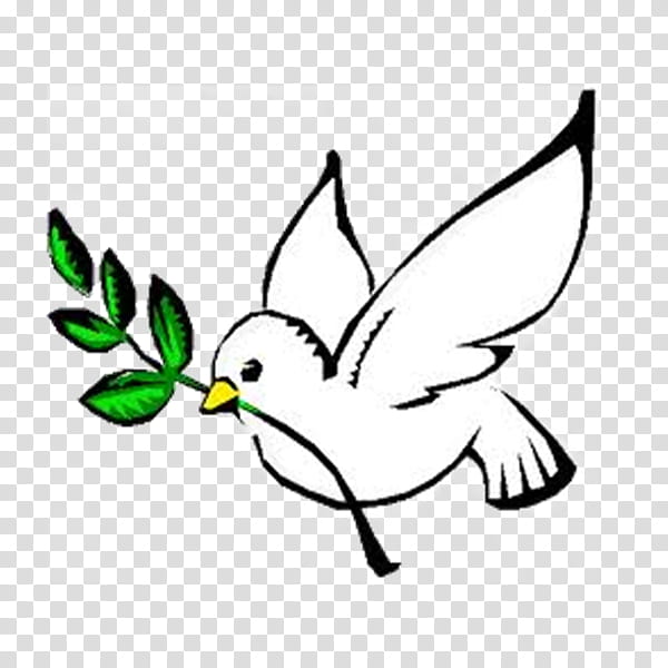 Bird Line Drawing, Pigeons And Doves, Peace Symbols, Olive Branch, Leaf, White, Beak, Line Art transparent background PNG clipart