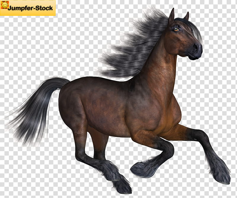 Horse , brown horse running illustration transparent background PNG clipart