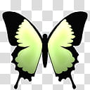 Butterfly Cam, ButterflyCam_Green_G icon transparent background PNG clipart